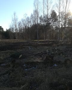 Latvijas dārzs, SIA