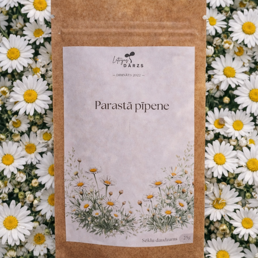 savvaļas puķu sēklas margrietiņas